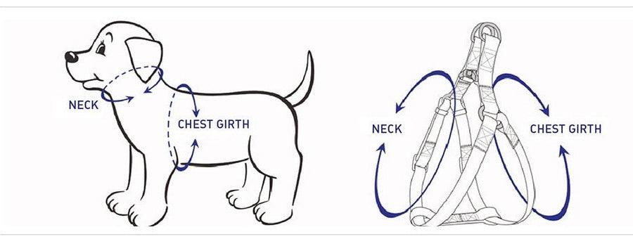 Blumen-Set für Hunde Royal Blue – 6-teiliges Step-In Bundle