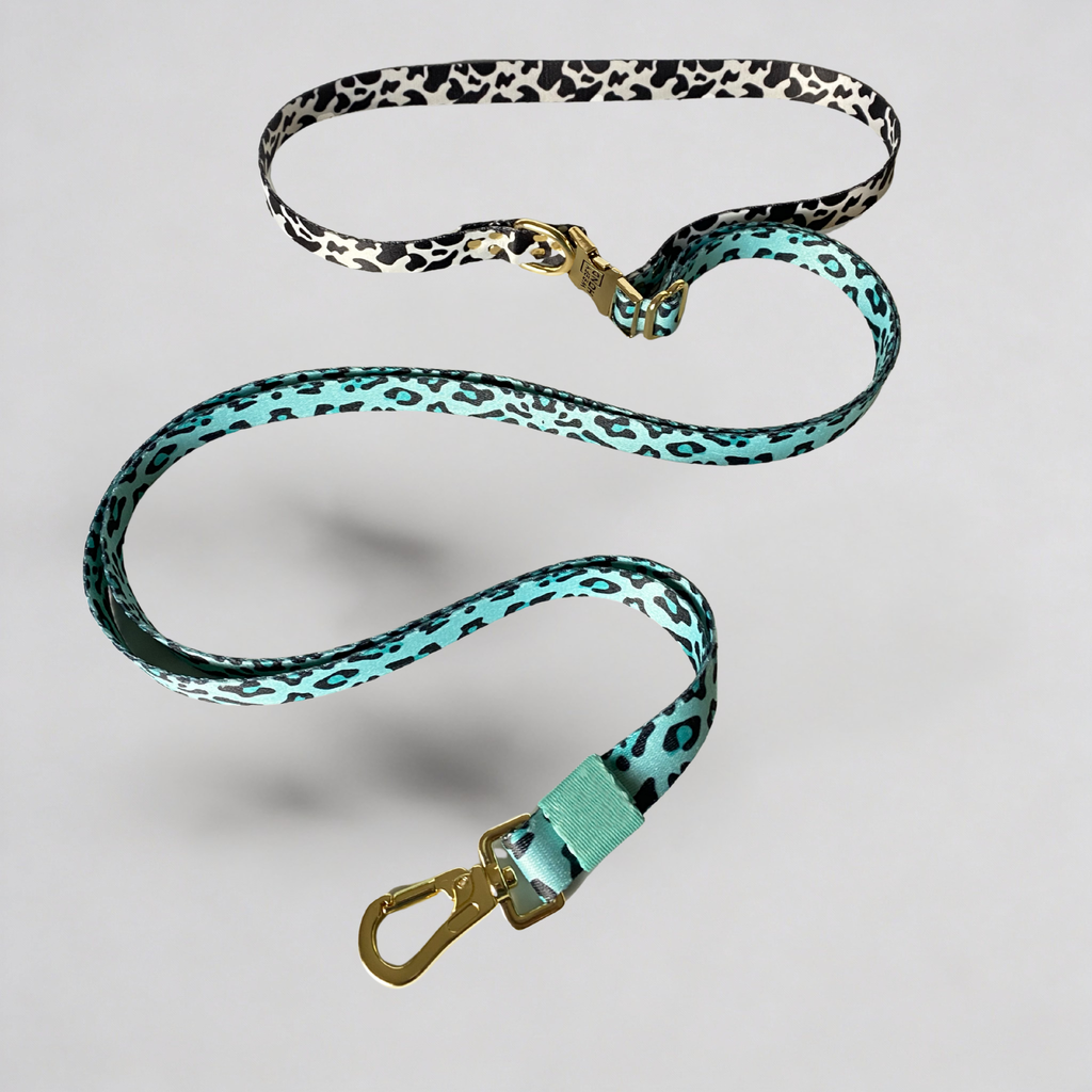 Freihände Hundeleine Aqua Camo – Woofy Hund