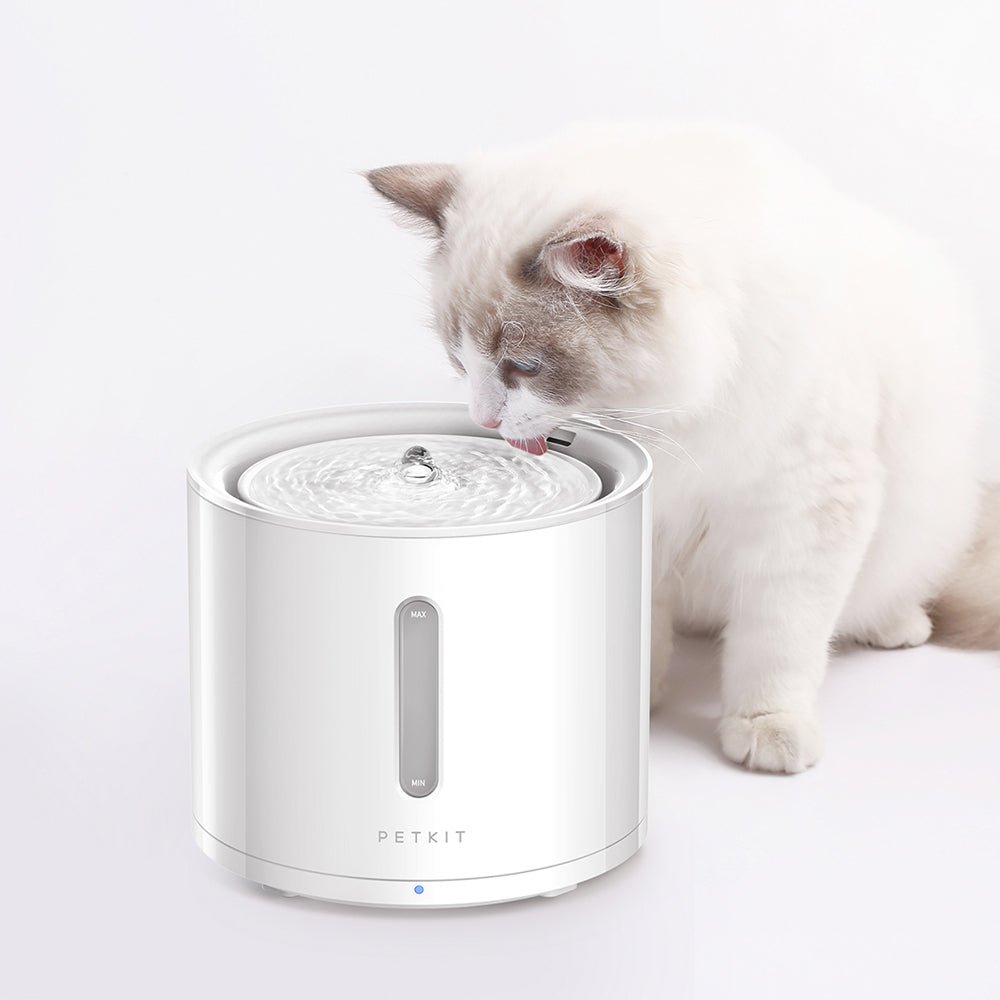 EverSweet Solo 2 Haustier-Trinkbrunnen – Petkit