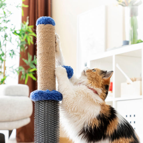 Kratz- und Massageständer mit Ball für Katzen