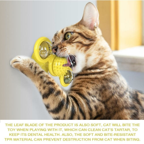 LED Spielbälle für Katzen – Leuchtendes Katzenspielzeug mit Saugnapf